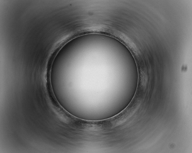 X0000102860486200808251229