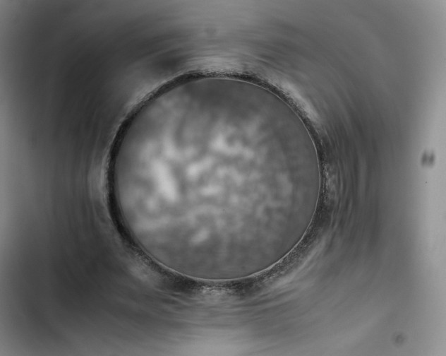 X0000102860487200808251229