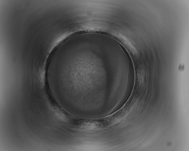 X0000102860488200808251229