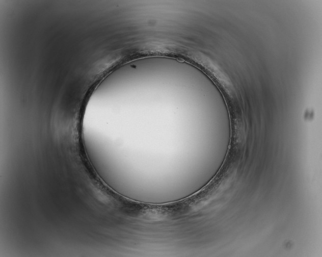 X0000102860489200808251229