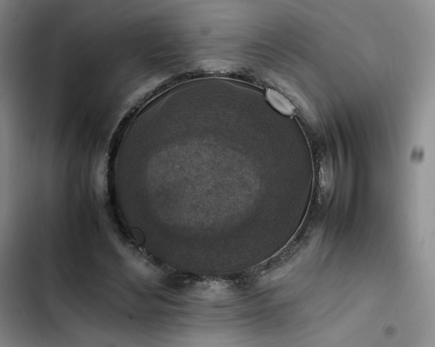 X0000102860492200808251229