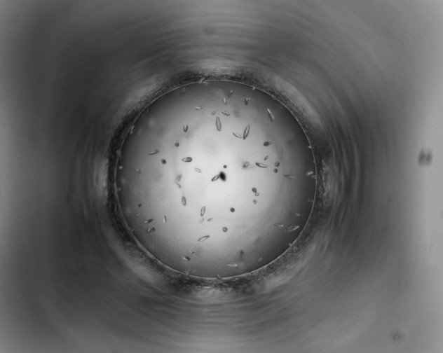 X0000102860494200808251229