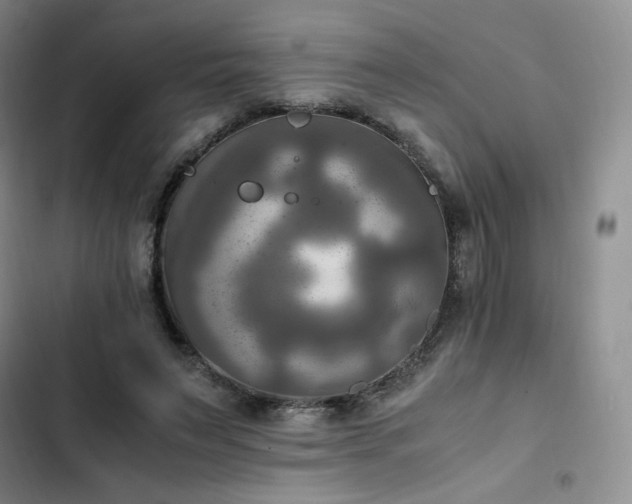 X0000102860495200808251229