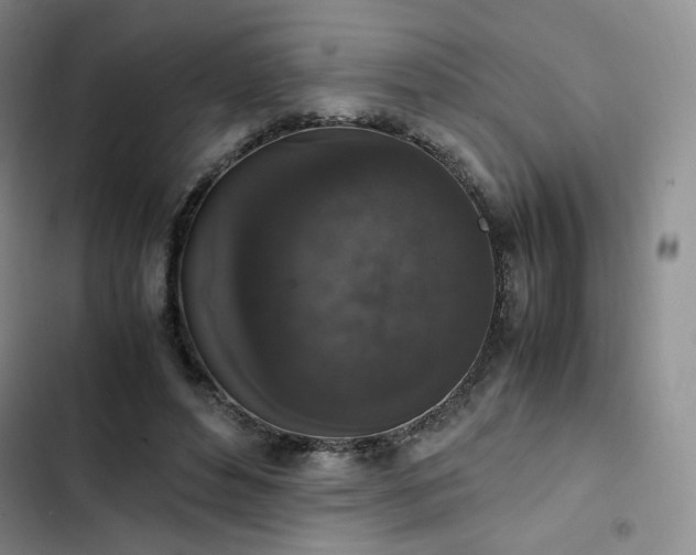 X0000102860496200808251229