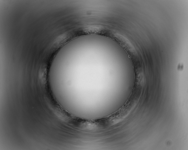 X0000102860498200808251229