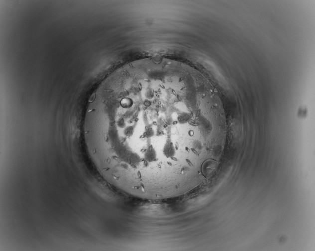 X0000102860499200808251229