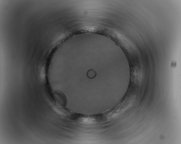 X0000102860500200808251229