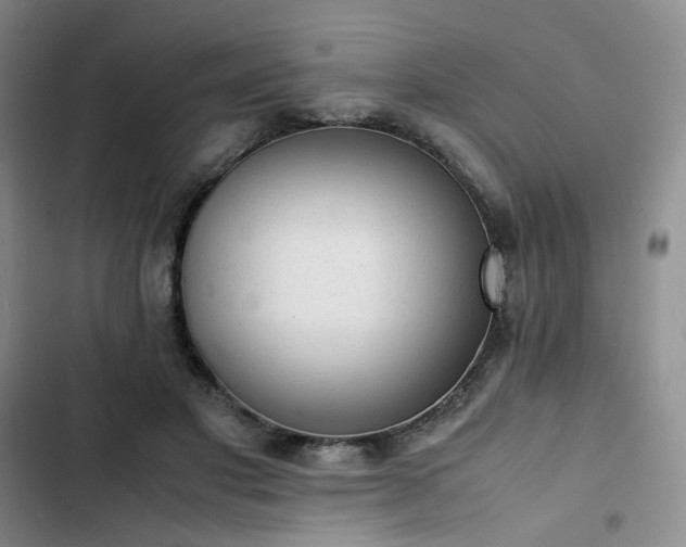 X0000102860501200808251229