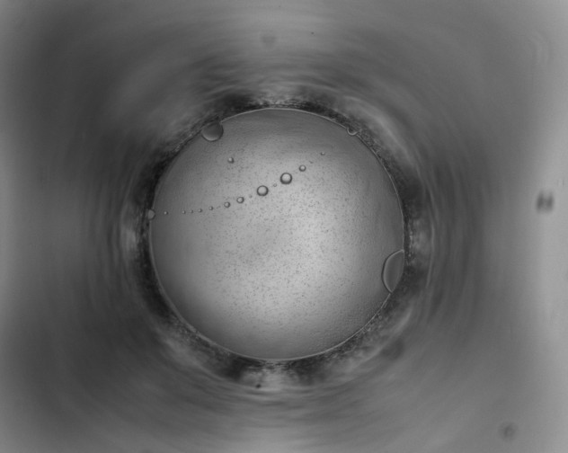 X0000102860503200808251229