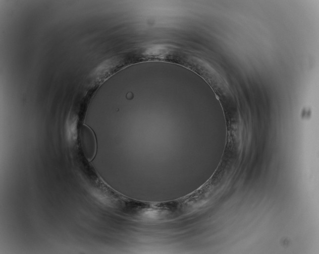 X0000102860504200808251229