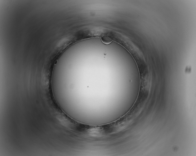 X0000102860505200808251229