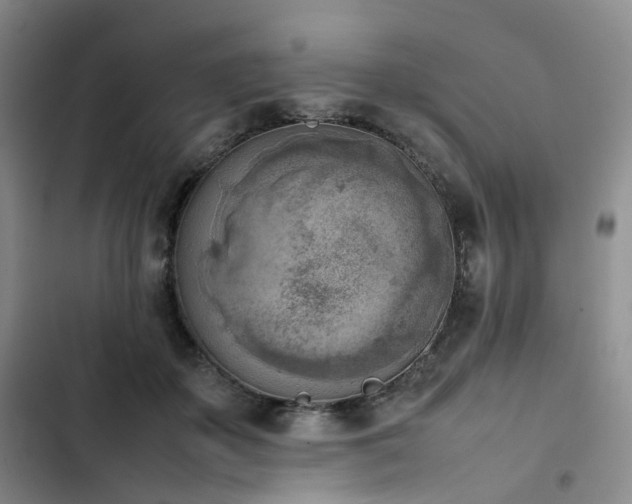 X0000102860507200808251229