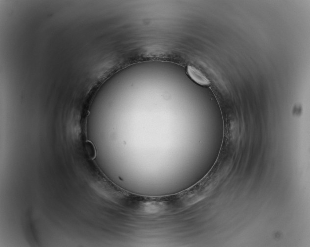 X0000102860508200808251229