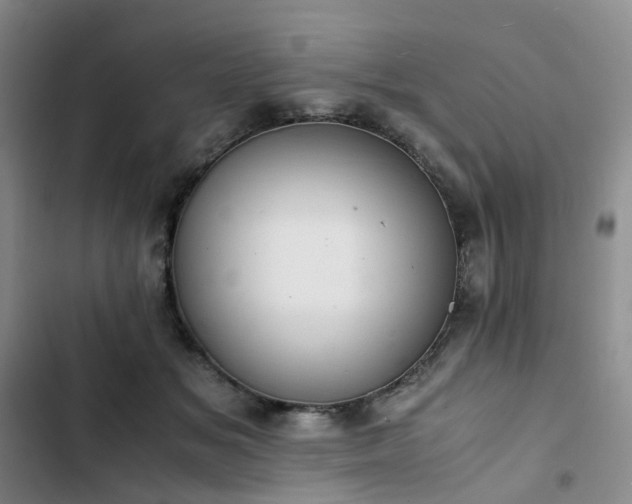 X0000102860509200808251229