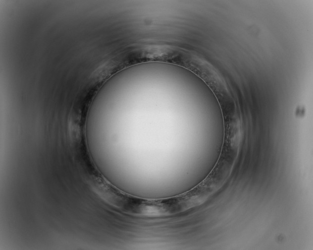 X0000102860510200808251229