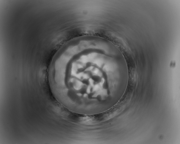 X0000102860511200808251229