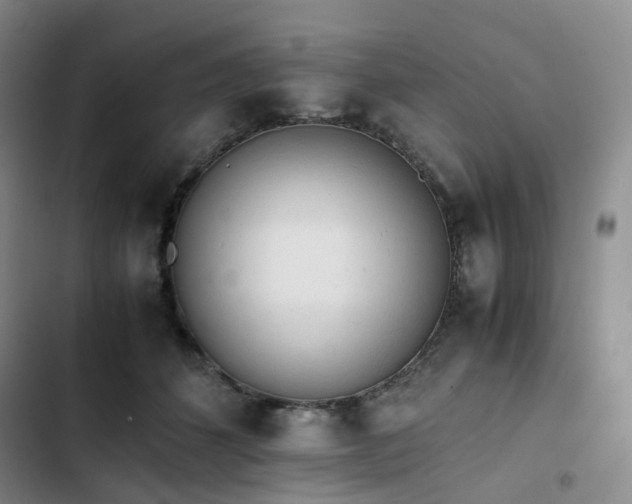 X0000102860512200808251229