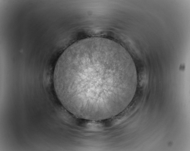 X0000102860515200808251229