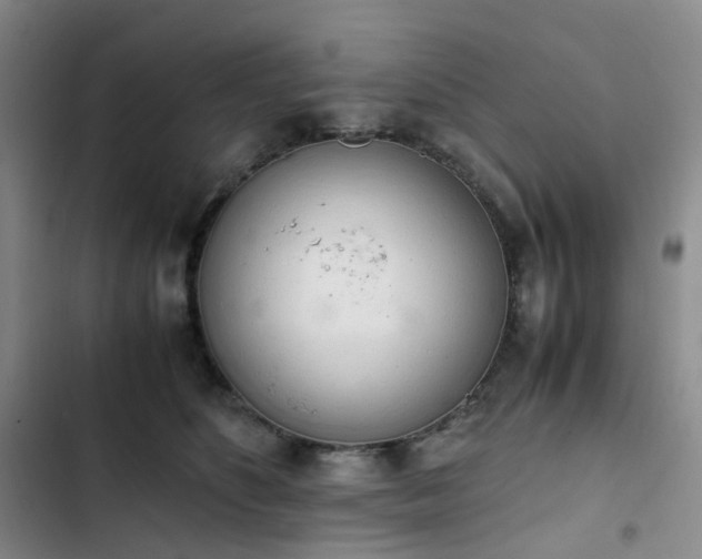 X0000102860516200808251229