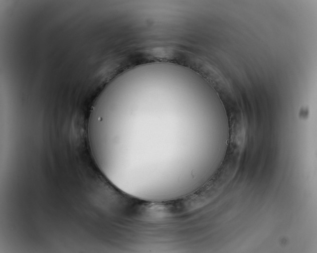 X0000102860518200808251229