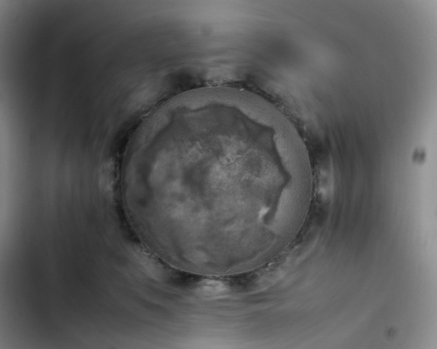 X0000102860519200808251229