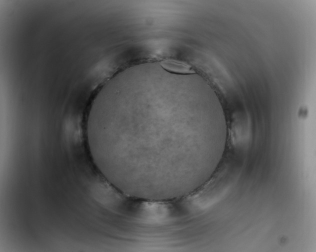 X0000102860520200808251229