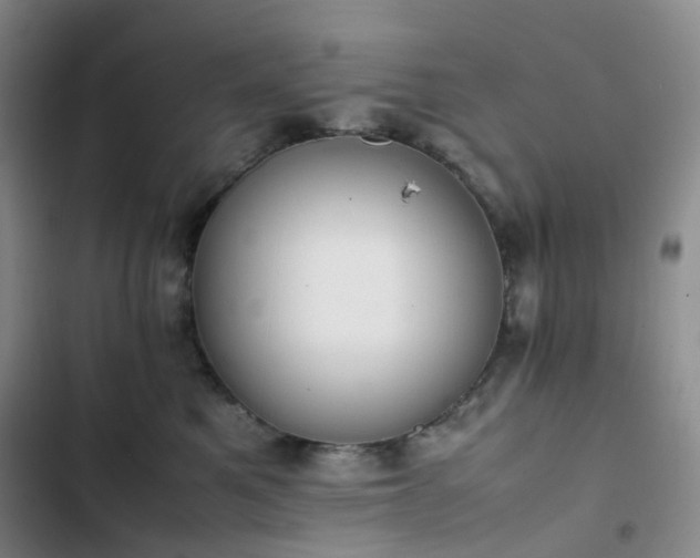 X0000102860521200808251229