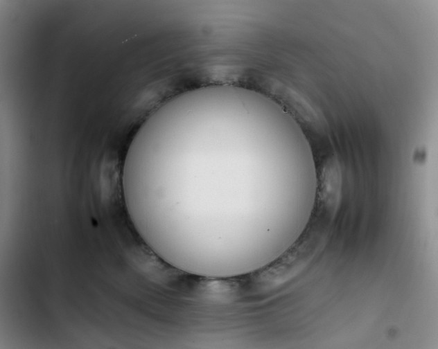 X0000102860522200808251229