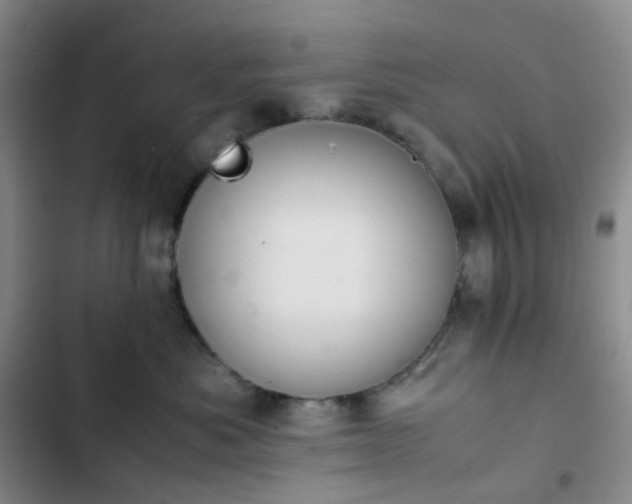 X0000102860525200808251229