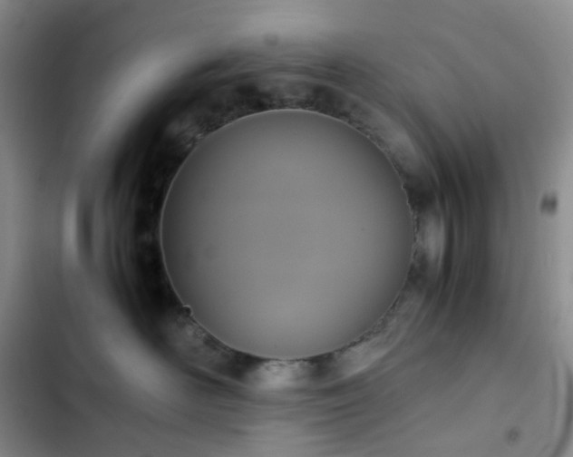 X0000102860526200808251229