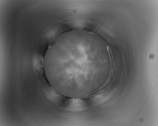 X0000102860528200808251229