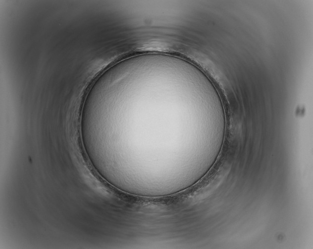 X0000102860529200808251228