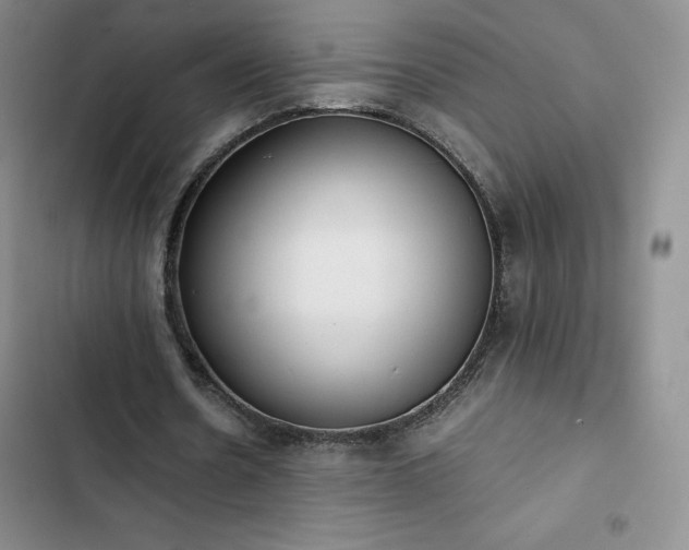 X0000102860530200808251228