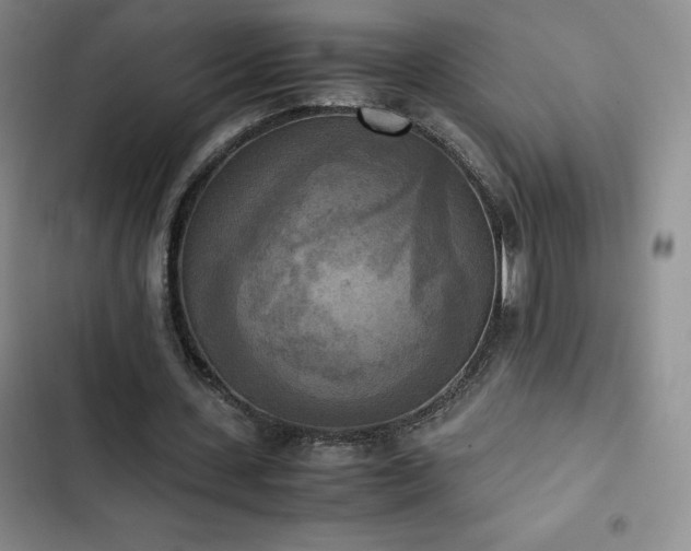 X0000102860531200808251228