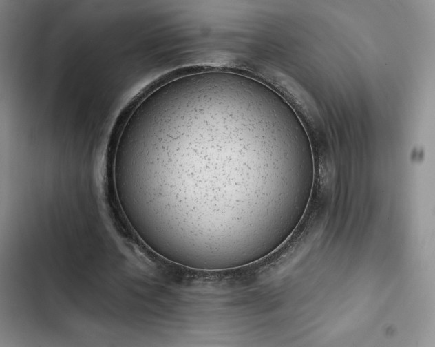 X0000102860532200808251228