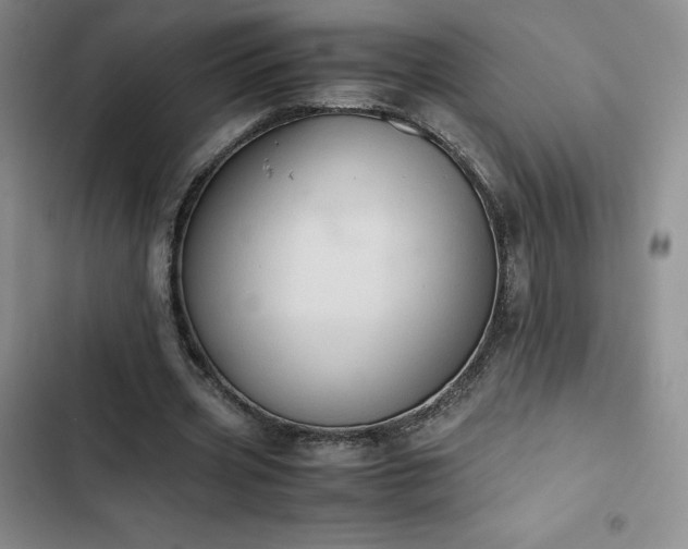 X0000102860533200808251228