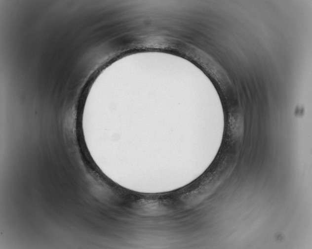 X0000102860534200808251228