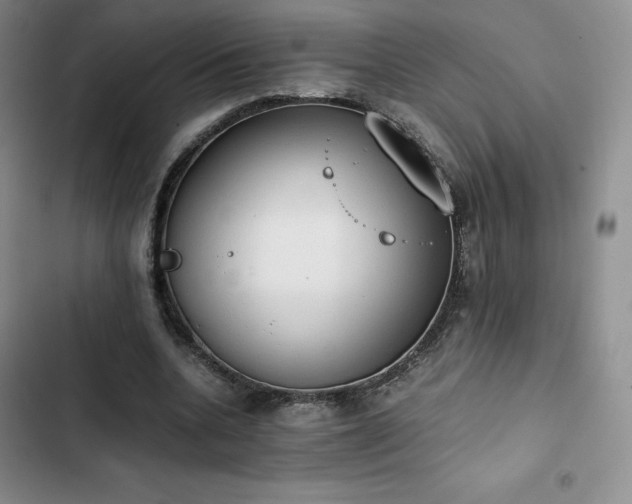 X0000102860536200808251228