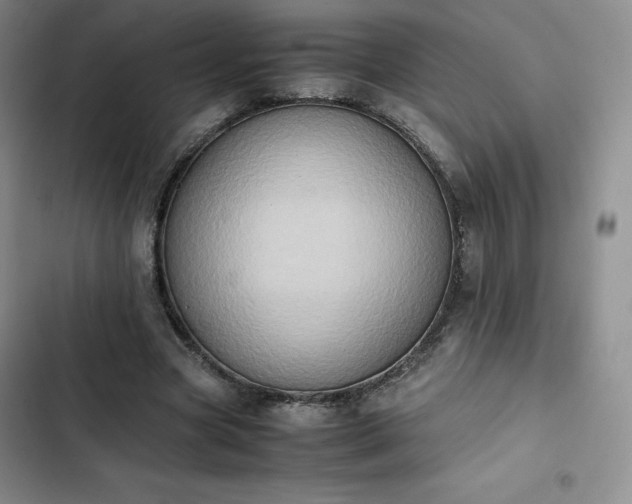 X0000102860537200808251228