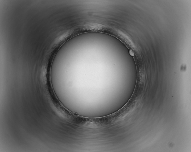 X0000102860538200808251228