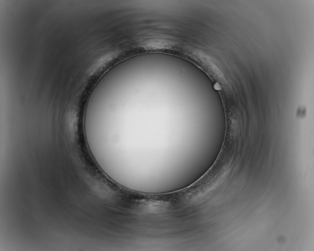 X0000102860539200808251228