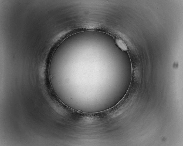 X0000102860540200808251228