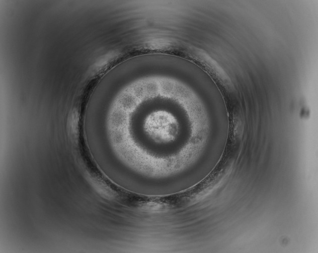 X0000102860542200808251228