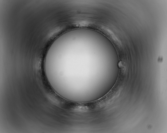 X0000102860543200808251228