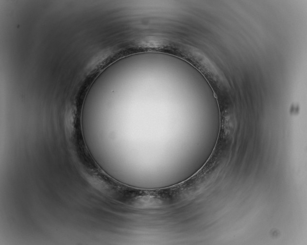 X0000102860544200808251228