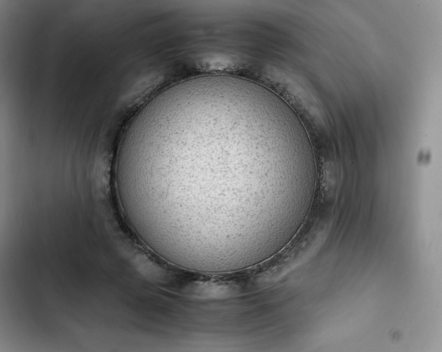 X0000102860545200808251228