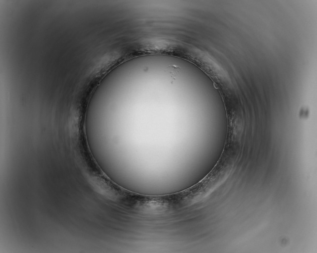 X0000102860546200808251228