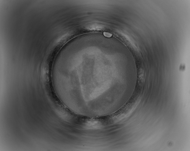 X0000102860547200808251228