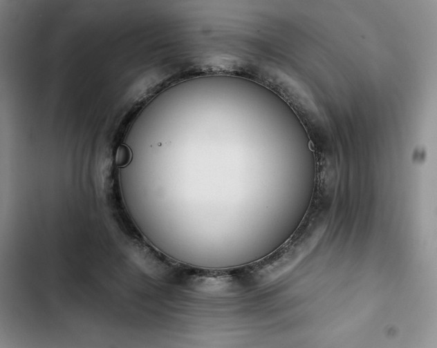 X0000102860548200808251228