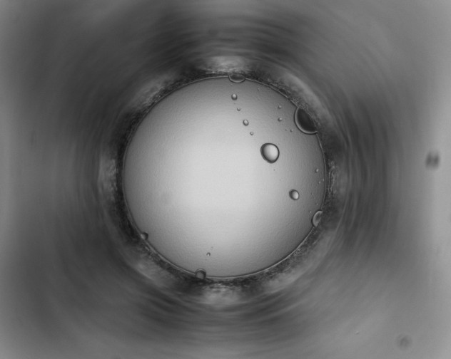 X0000102860549200808251228